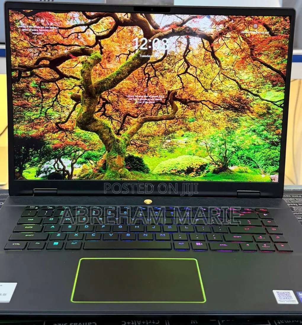 New Laptop Alienware M17x R2 16GB Intel Core i9 SSD 1T