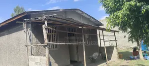 Furnished 6bdrm House in Abbay, East Shewa for sale