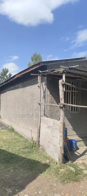 Furnished 6bdrm House in Abbay, East Shewa for sale