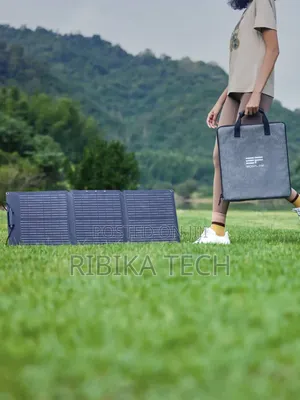 Ecoflow Portable Solar Panel 60W