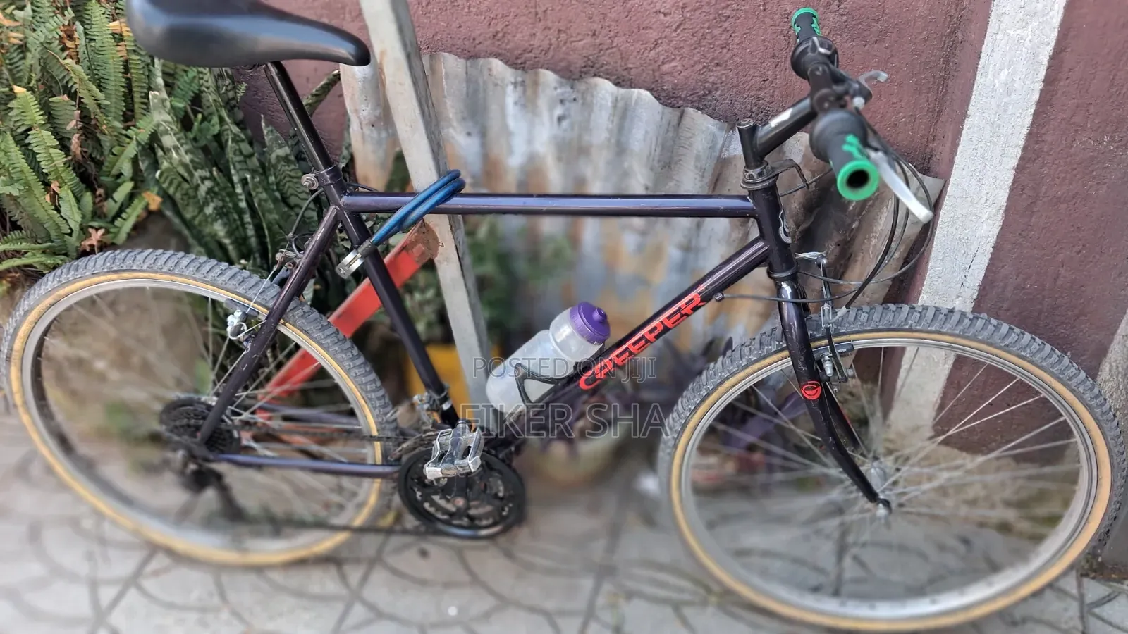 Bike Last Price