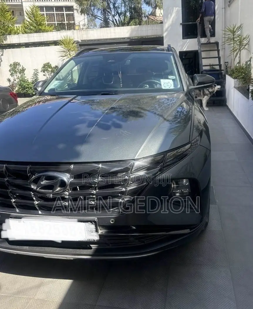 Hyundai Tucson 2021 Gray