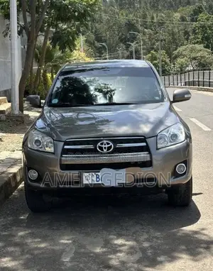 Toyota RAV4 2009 Brown