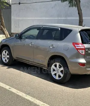 Toyota RAV4 2009 Brown