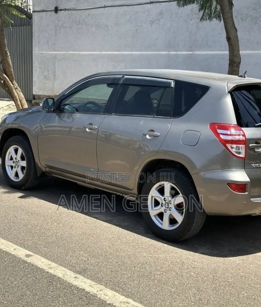 Toyota RAV4 2009 Brown