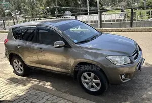 Toyota RAV4 2009 Brown
