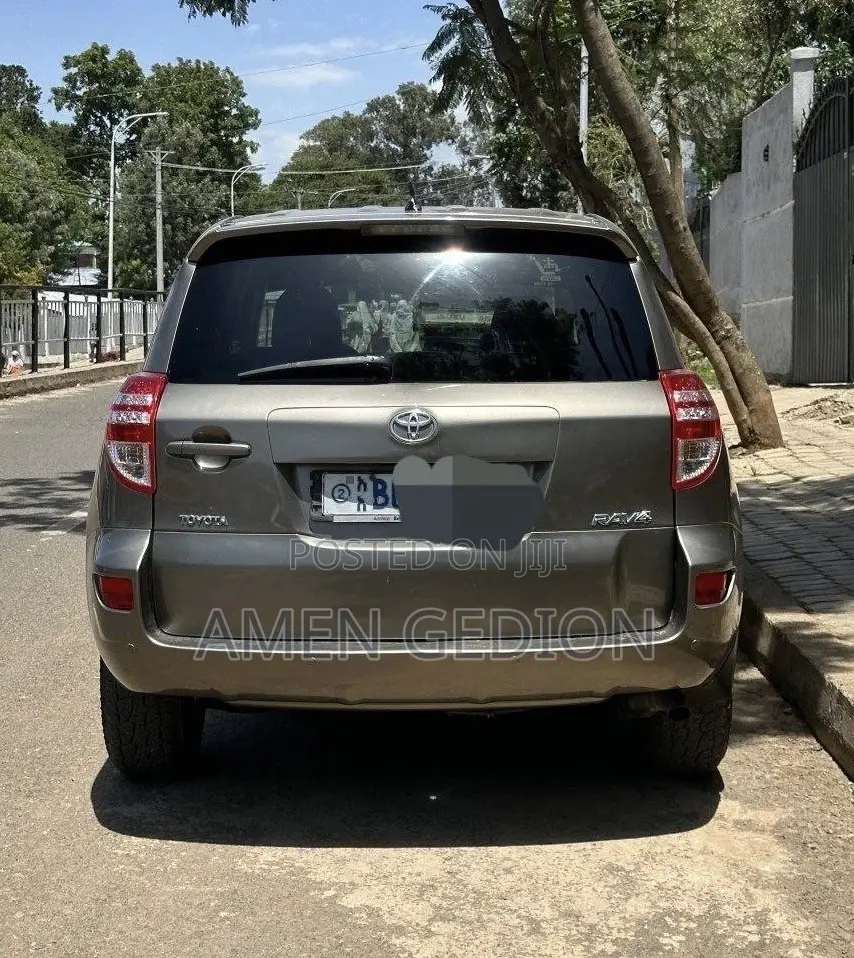 Toyota RAV4 2009 Brown
