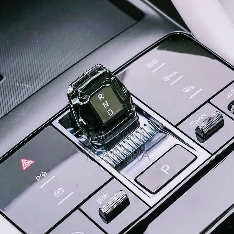 New BYD Song Plus 2025 Gray