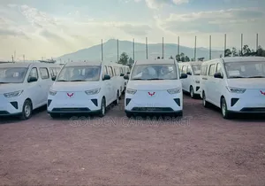 New Wuling LZW6510 2025 White