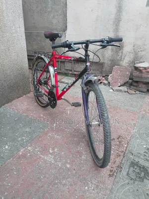 Viva Bike 