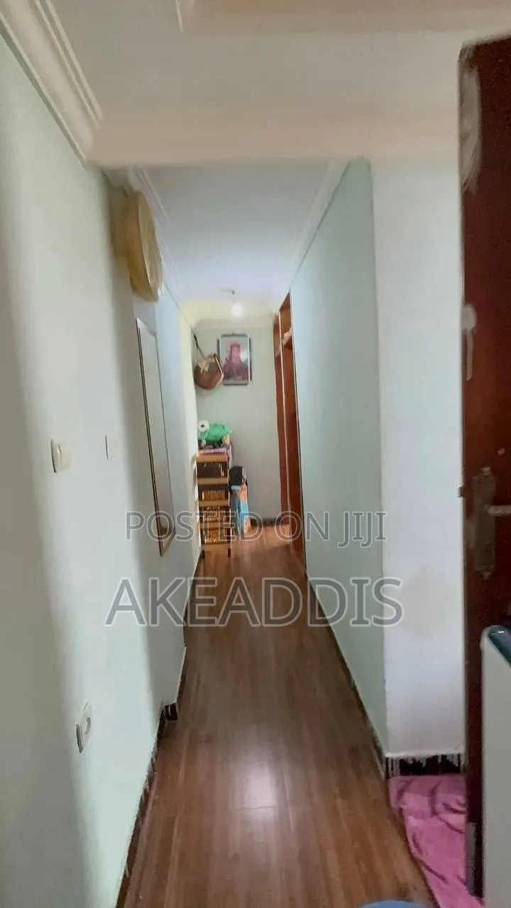 Furnished 2bdrm Condo in Bole Arabsa for sale