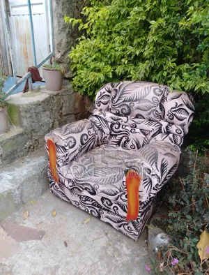Sofa Furniture