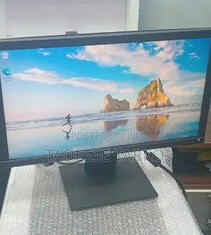 Dell 20 Inch Monitor