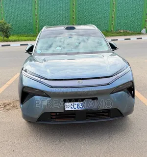 BYD Tang DM-i 2025