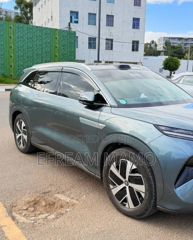 BYD Tang DM-i 2025