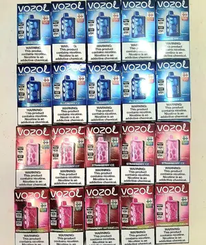 Vape 40k Vozol Brand All Flavor