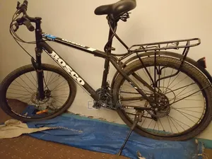 Bosco Bicycle