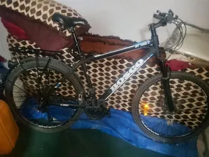 Bosco Bicycle
