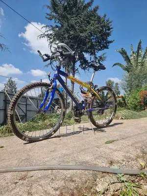 Pacific Evolution Mountain Bike