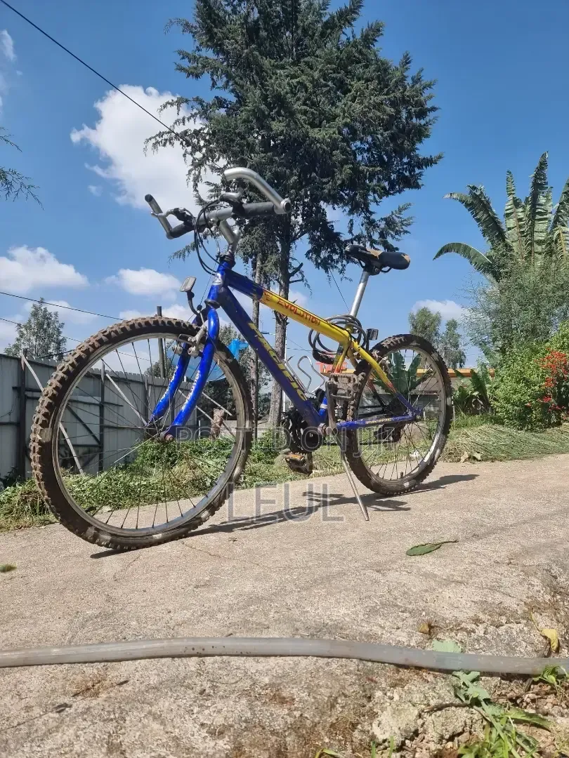 Pacific Evolution Mountain Bike