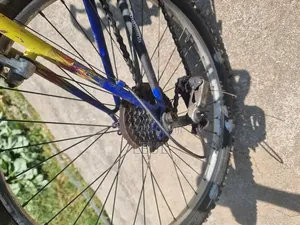 Pacific Evolution Mountain Bike