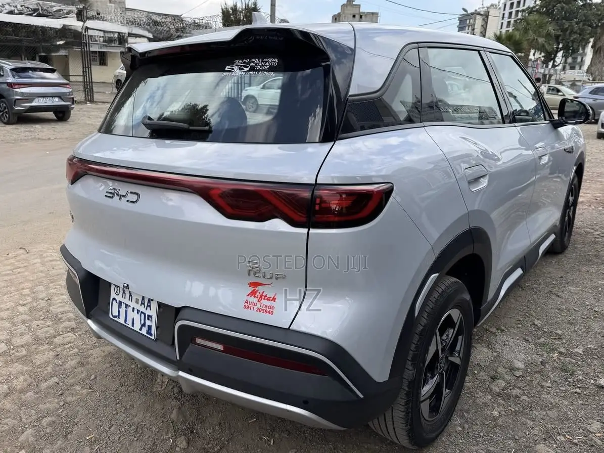 BYD Yuan Up 2024