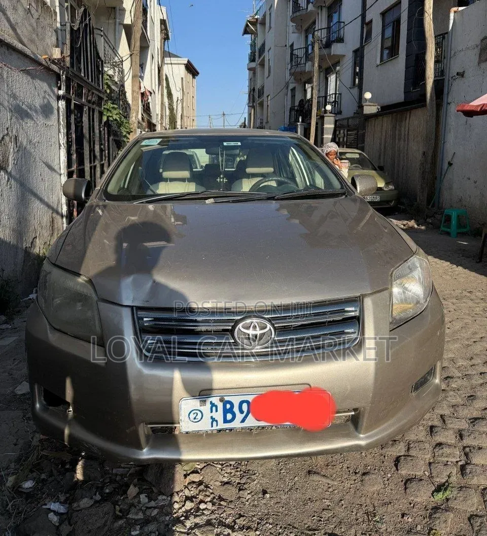 Toyota Axio 2008 Gray