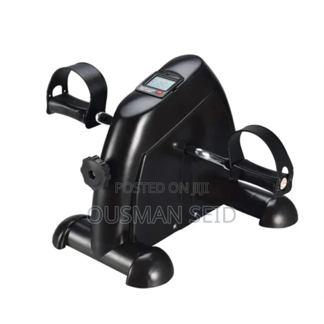 Mini Portable Bike