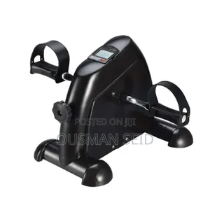 Mini Portable Bike