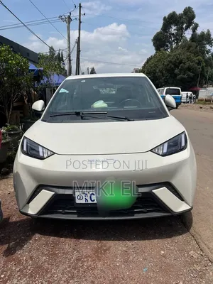 BYD Seagull 2025 White