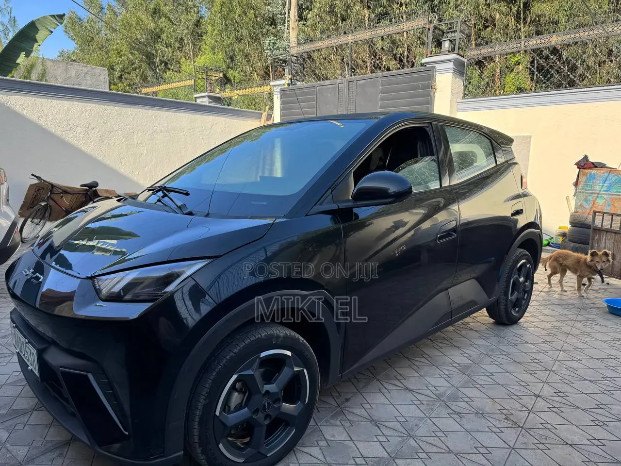 BYD Seagull 2025 Black