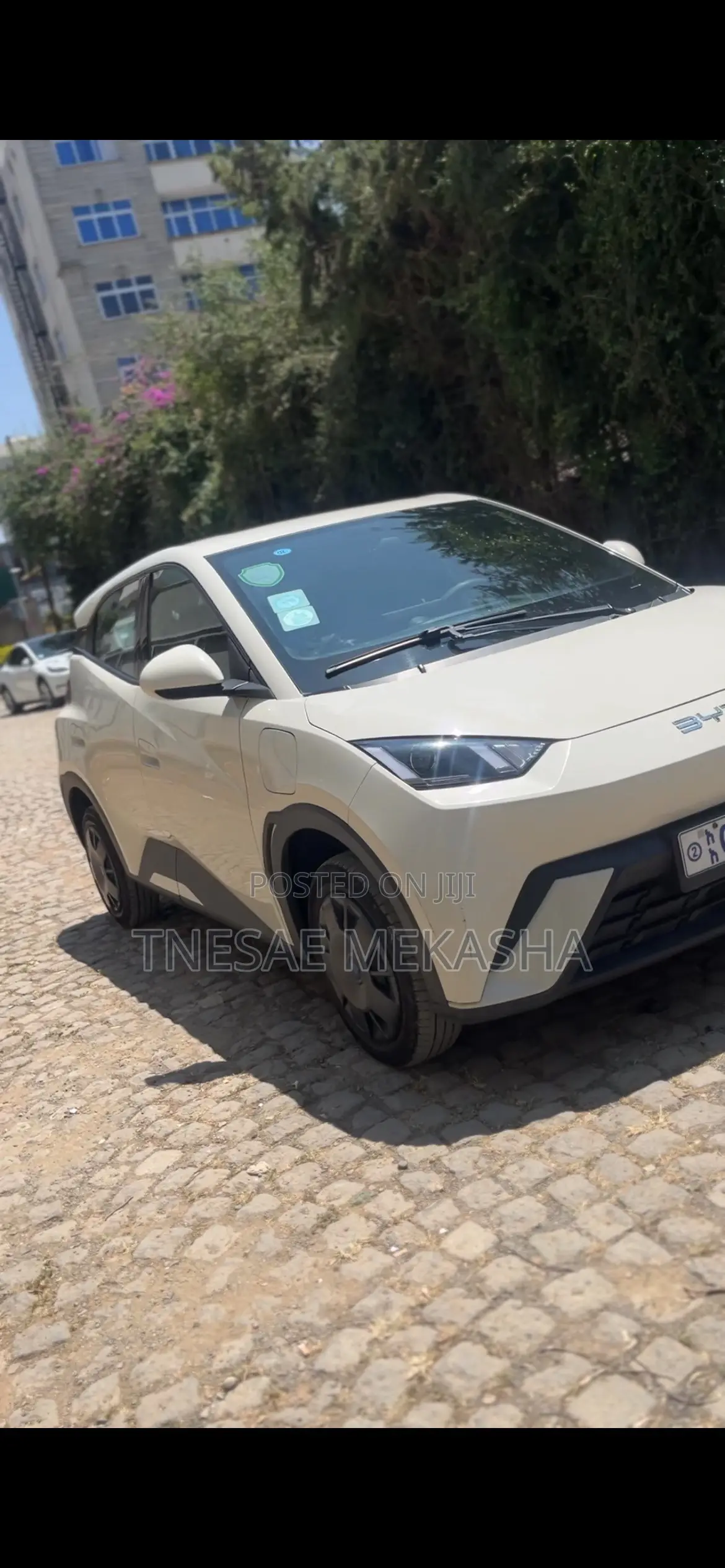 BYD Seagull 2024 White