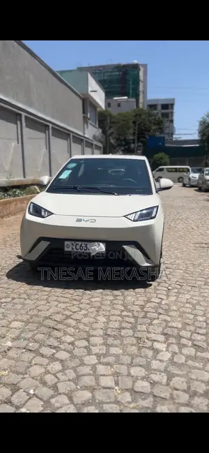 BYD Seagull 2024 White