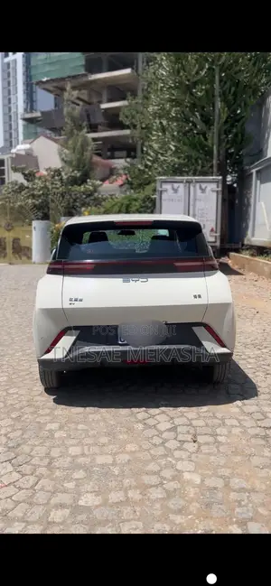 BYD Seagull 2024 White