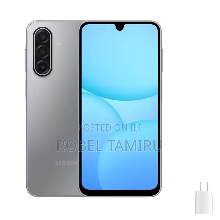 Samsung Galaxy A17 5G 256 GB Gray