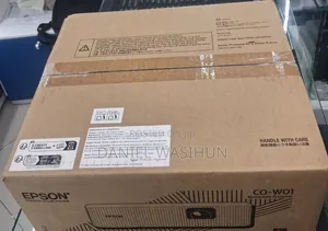 Epson Projecter Co-Wo1