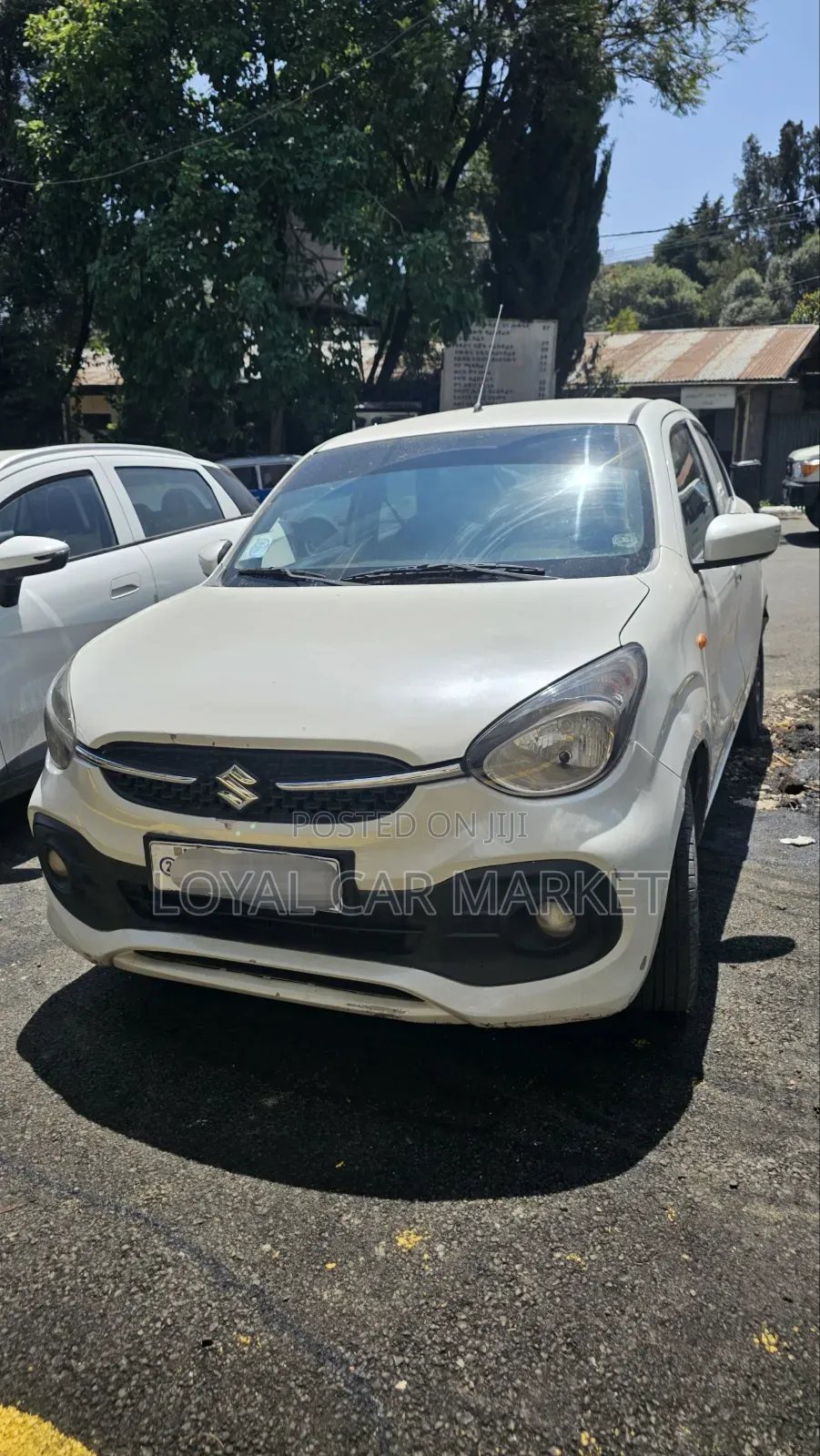 Suzuki Celerio 2022 White