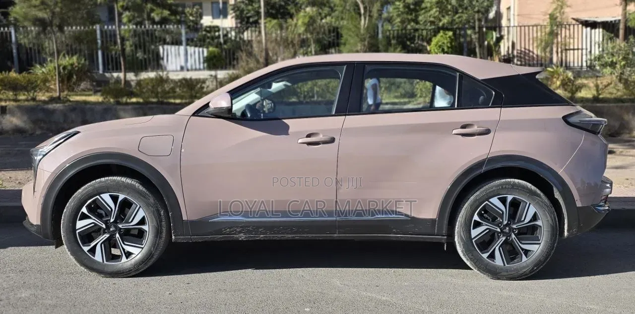 Hozon Neta U 2022 Pink