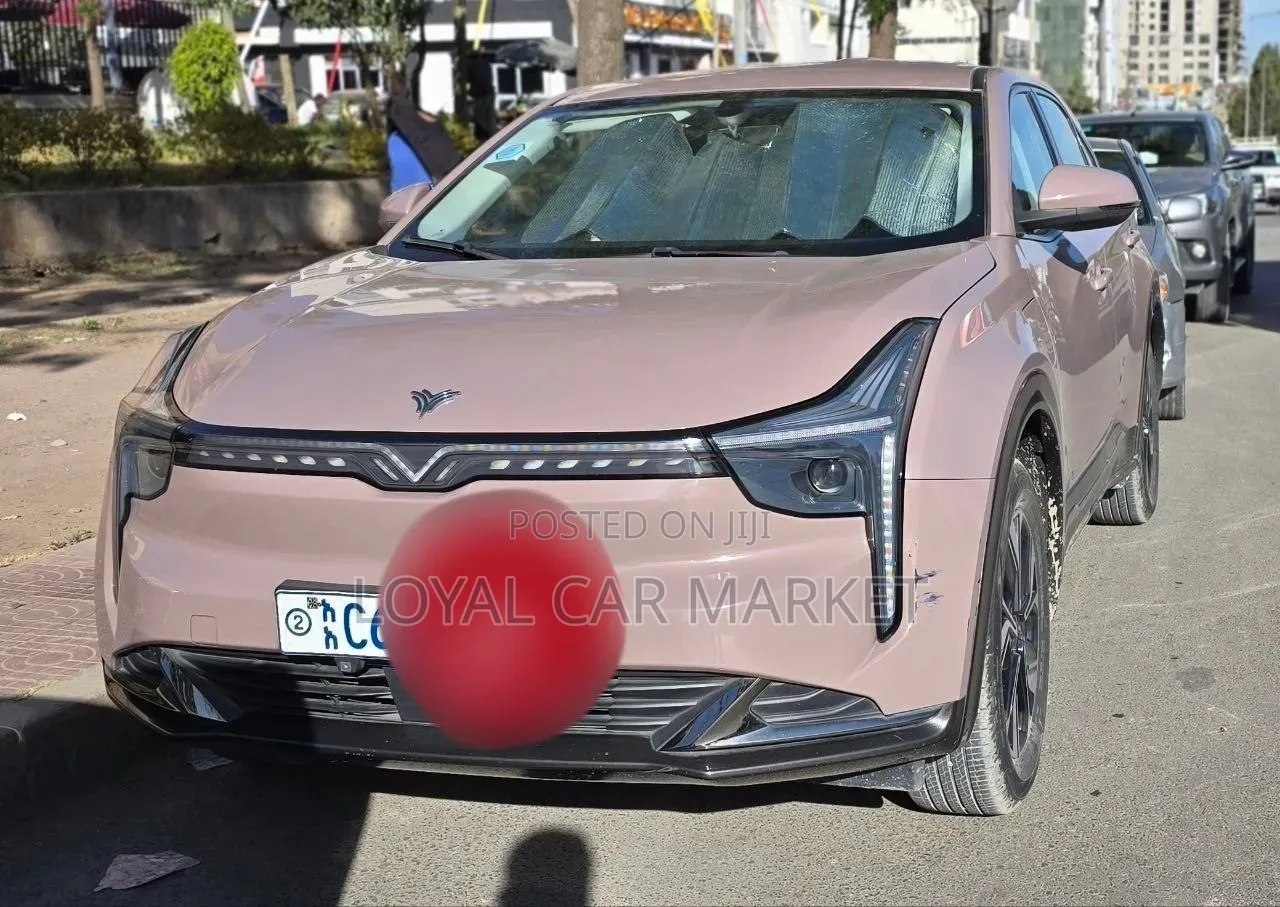 Hozon Neta U 2022 Pink