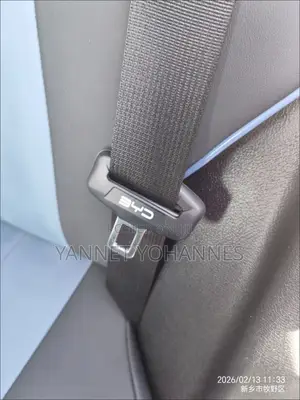 Byd Car Seat Belt Buckle Clips Set of 2