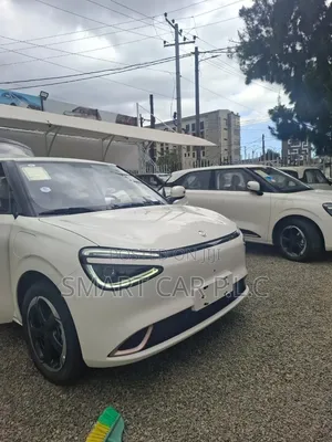 New Dongfeng Nammi 01 2025 White