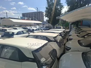 New Dongfeng Nammi 01 2025 White