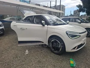 New Dongfeng Nammi 01 2025 White