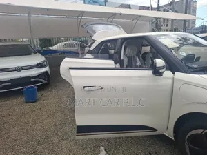 New Dongfeng Nammi 01 2025 White