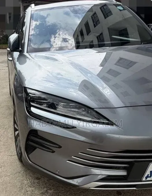 BYD Song Plus 2024 Gray