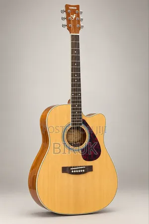 New Brand Guitar