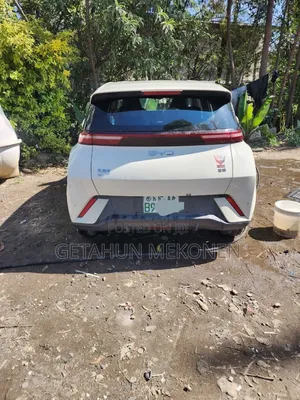 BYD Seagull 2024