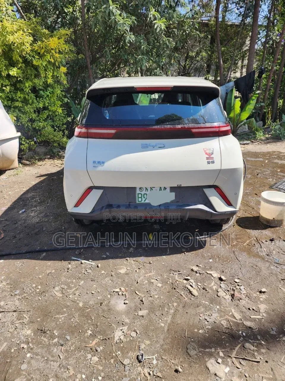 BYD Seagull 2024