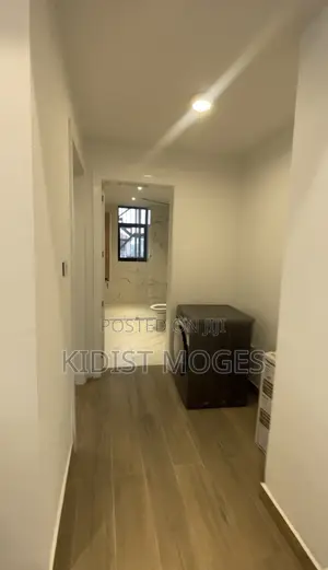 Furnished 1bdrm Apartment in Nifas Silk-Lafto for rent