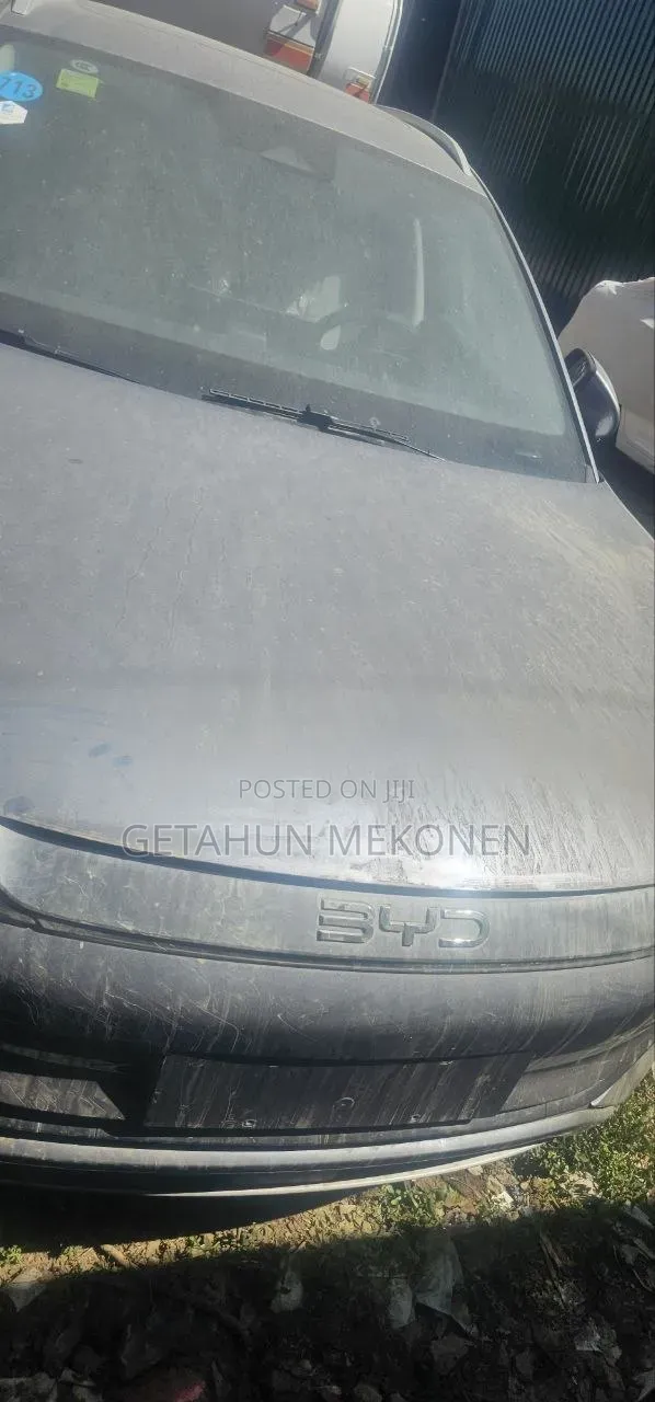 New BYD Yuan Plus 2025 Silver